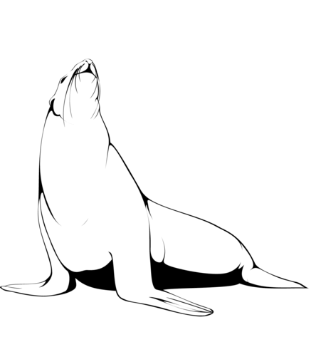 Fur Seal Coloring Page